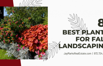 Best Items to Plant for Your Fall Landscaping